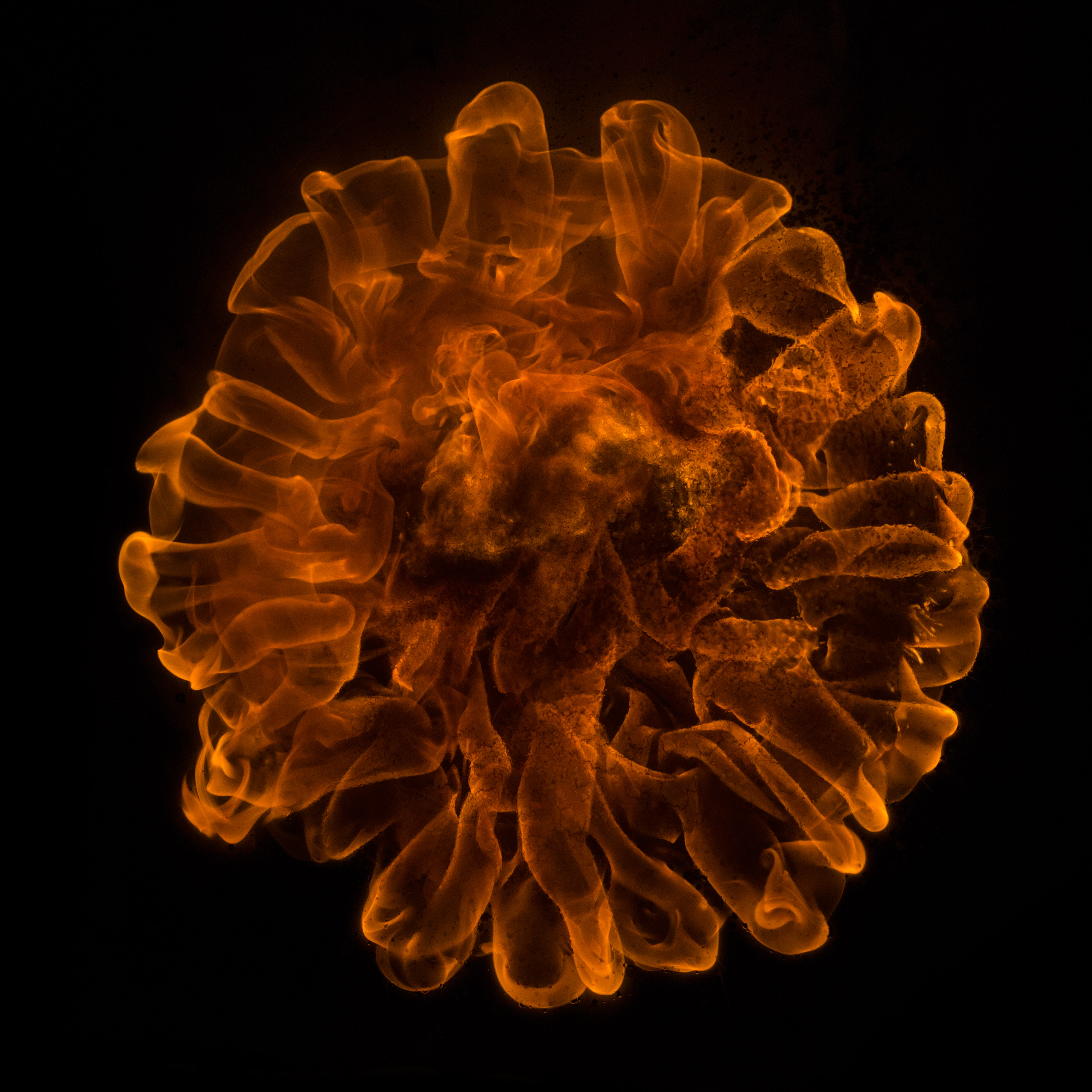 Zoom image Dominion 1