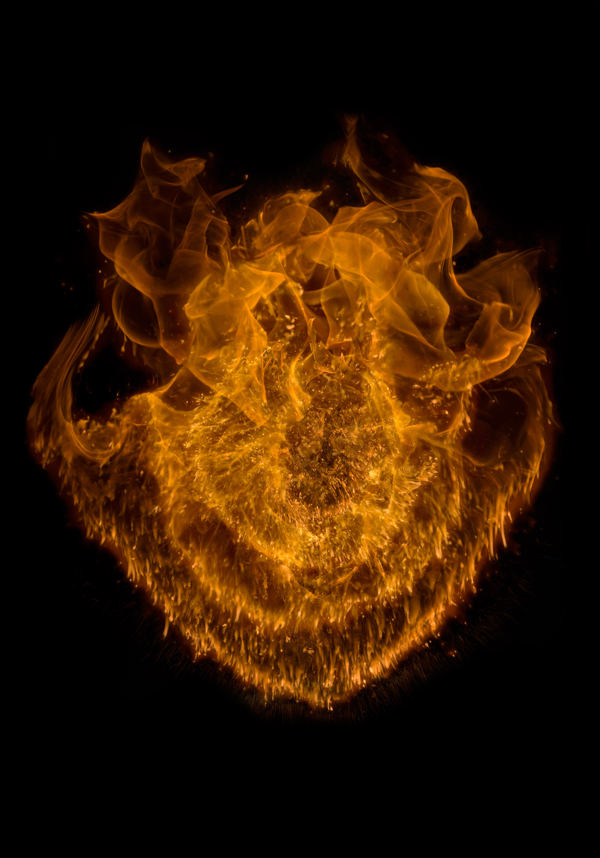 Zoom image Dominion 7