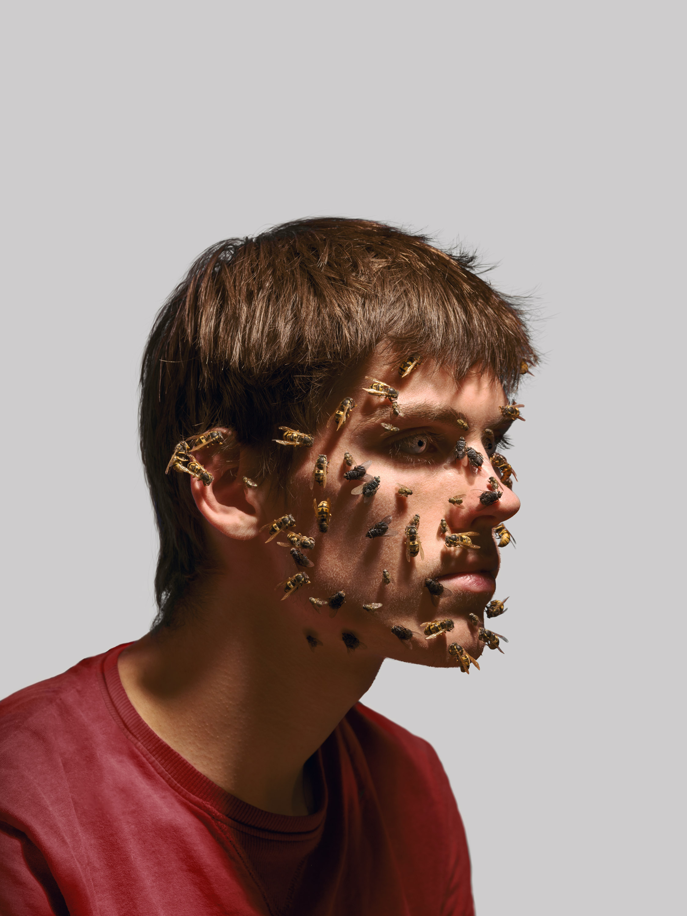 Zoom image Slow decay 1