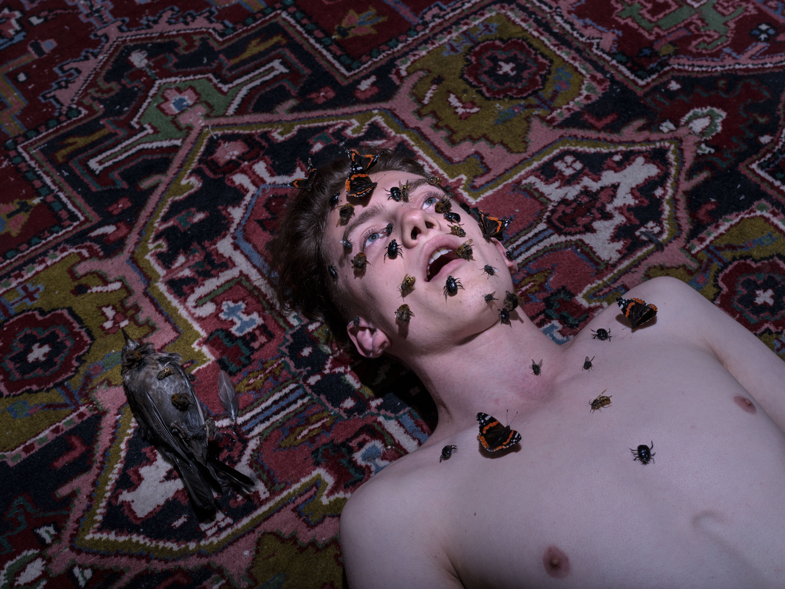 Zoom image Slow decay 2